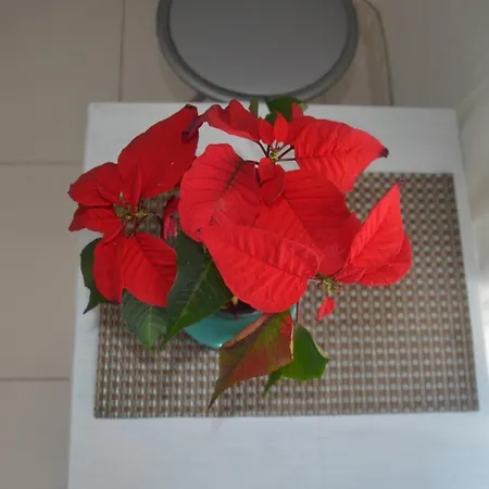 Homestay Independent Whole 1st Floor 1room 1balcony And Views 1bathroom